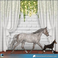 Horse Color:Silver Blue Roan 