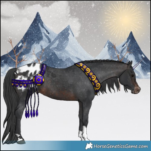 Horse Color:Brown Tobiano Appaloosa 