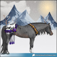 Horse Color:Brown Tobiano Blanket
