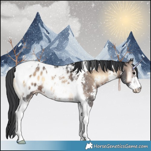 Horse Color:Brown Onyx Sabino Tobiano Appaloosa