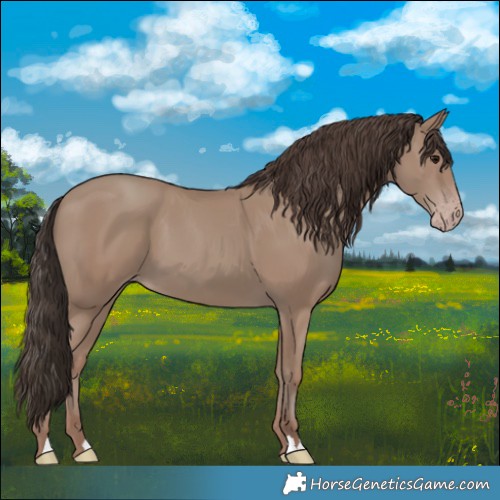 Horse Color:Classic Champagne 