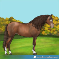 Horse Color:Gray Liver Chestnut Pearl Tobiano 