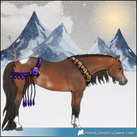 Horse Color:Bay Tobiano 