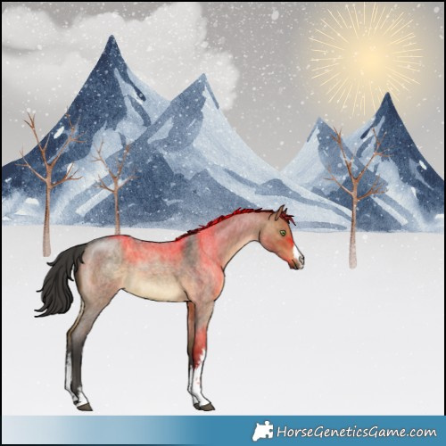 Horse Color:White Spotted Brown Roan Dun 