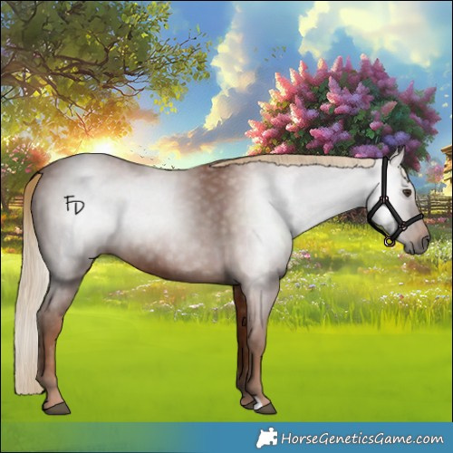 Horse Color:Gray Chestnut