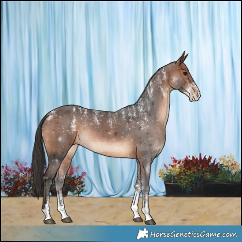 Horse Color:Powder White Brown 