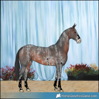 Horse Color:Powder White Brown Sabino 