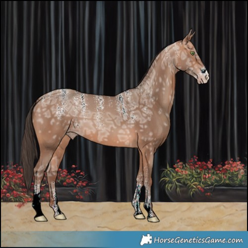 Horse Color:Powder White Sable Champagne Ice 