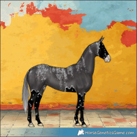 Horse Color:Powder White Smoky Black Splash 