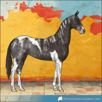 Horse Color:Powder White Liver Chestnut Tobiano