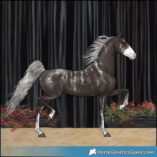 Horse Color:Powder White Liver Chestnut Mushroom Sabino 