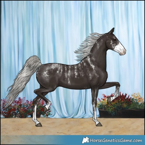 Horse Color:Powder White Liver Chestnut Mushroom Sabino 