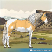Horse Color:Palomino Tobiano Frame