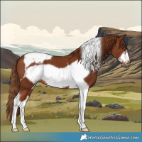 Horse Color:Chestnut Tobiano Frame 