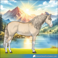Horse Color:Palomino Dun Splash 