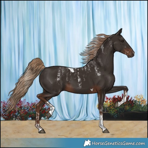 Horse Color:Powder White Liver Chestnut Tobiano 