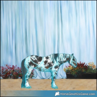 Horse Color:Thunderstruck White Spotted Brown 