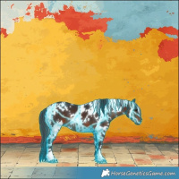 Horse Color:Thunderstruck White Spotted Brown 