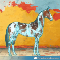 Horse Color:Thunderstruck White Spotted Bay 