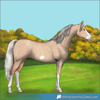 Horse Color:Silver Classic Champagne Dun Splash Frame 