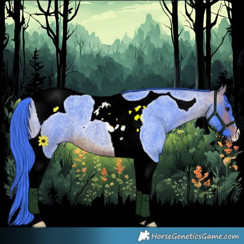 Horse Color:Watercolor Bay Roan Tobiano