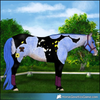 Horse Color:Watercolor Bay Roan Tobiano 