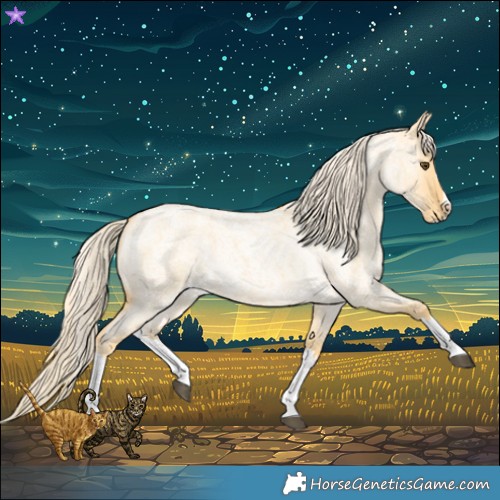 Horse Color:Palomino Roan Dun Splash 