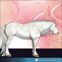 Horse Color:Plaid White Spotted Cremello Dun Sabino Rabicano