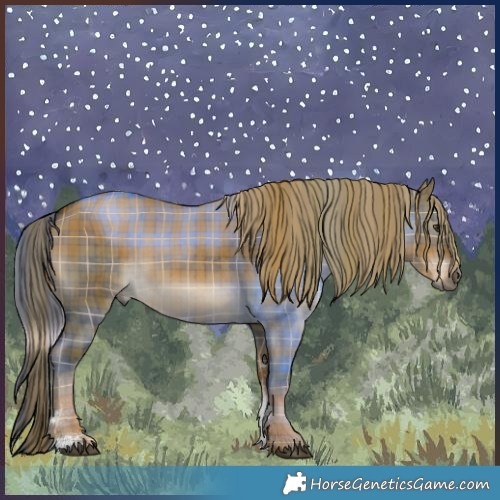 Horse Color:Plaid  Liver Red Dun Sabino Rabicano Brindle 