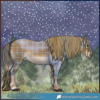 Horse Color:Plaid  Liver Red Dun Sabino Rabicano Brindle