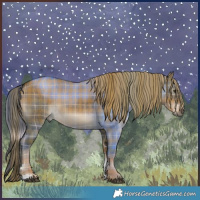Horse Color:Plaid  Liver Red Dun Sabino Rabicano Brindle 