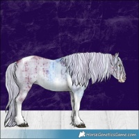 Horse Color:Watercolor Plaid  Chocolate Palomino Dun Sabino Tobiano Rabicano Brindle 