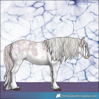 Horse Color:Watercolor Plaid  White Spotted Chocolate Palomino Dun Rabicano Brindle 