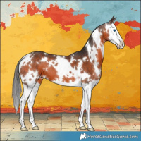 Horse Color:White Spotted Brown Splash 
