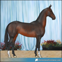Horse Color:Brown 