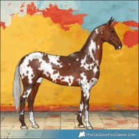 Horse Color:White Spotted Silver Bay 