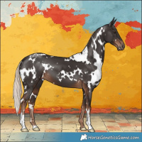 Horse Color:White Spotted Liver Chestnut 