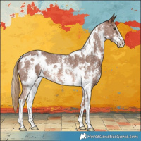 Horse Color:White Spotted Chestnut Sabino