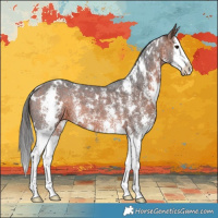 Horse Color:White Spotted Bay Sabino Splash 