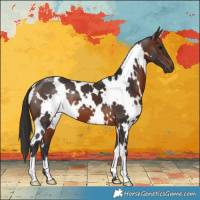 Horse Color:White Spotted Brown 