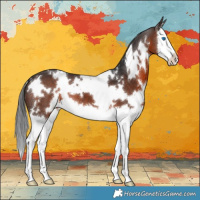 Horse Color:White Spotted Brown Splash 