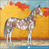 Horse Color:White Spotted Bay Sabino Splash 