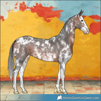 Horse Color:White Spotted Bay Sabino Splash