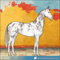 Horse Color:Liver Red Dun Sabino Splash Appaloosa 