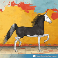 Horse Color:Liver Chestnut Splash 