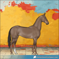 Horse Color:Liver Red Dun 
