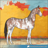 Horse Color:Bay Sabino Rabicano 