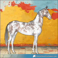 Horse Color:White Spotted Brown Sabino 