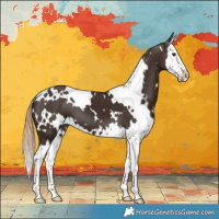 Horse Color:White Spotted Liver Chestnut Splash 