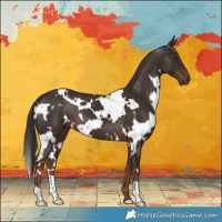 Horse Color:White Spotted Liver Chestnut 
